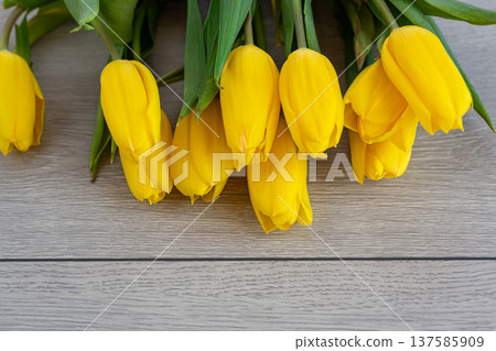 beautiful yellow tulips with mothers day message spring concept beautiful yellow tulips with mothers day message spring concept 137585909