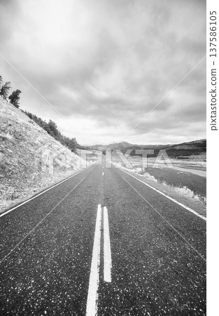 Black and white photo of a road in Yellowstone National Park, USA. Black and white photo of a road in Yellowstone National Park, USA. 137586105