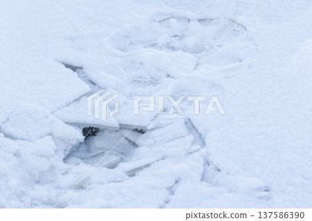 Ice shards under a thick layer of fresh snow cover polinya Ice shards under a thick layer of fresh snow cover polinya 137586390