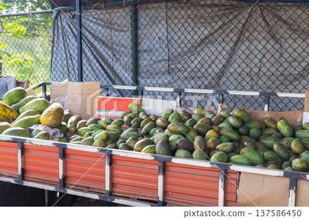Abundance of freshly harvested, ripe and unripe tropical fruit, ready for market, showcasing natural colors and textures in daylight. Sri Lanka island in Asia. 137586450