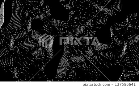 Map contour line and topography abstract relief with topographic vector terrain. Cartography land background and grid landscape outline with geographic mountain texture. Map contour line and topography abstract relief with topographic vector terrain. Cartography land background and grid landscape outline with geographic mountain texture. 137586641
