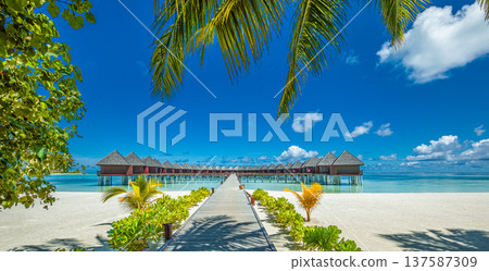 Immersive Maldives island shore with radiant palm leaves and pier leading to luxury water bungalows tropical paradise serene ocean travel background Immersive Maldives island shore with radiant palm leaves and pier leading to luxury water bungalows tropical paradise serene ocean travel background 137587309