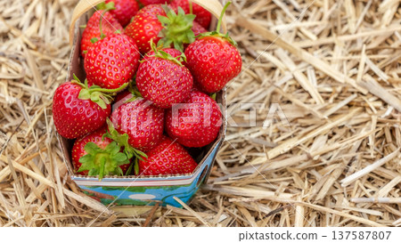 Freshly harvested strawberries in a colorful basket resting on straw, showcasing vibrant colors and natural textures in a farm setting Freshly harvested strawberries in a colorful basket resting on straw, showcasing vibrant colors and natural textures in a farm setting 137587807