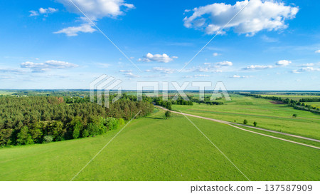 green field and blue sky 137587909