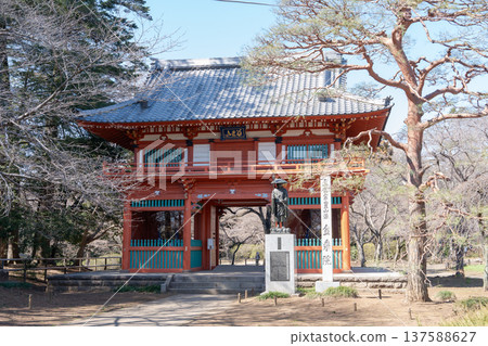 Niomon Gate of Konjoin Temple (Shimizu Park, Noda City, Chiba Prefecture, March 2026) Niomon Gate of Konjoin Temple (Shimizu Park, Noda City, Chiba Prefecture, March 2026) 137588627