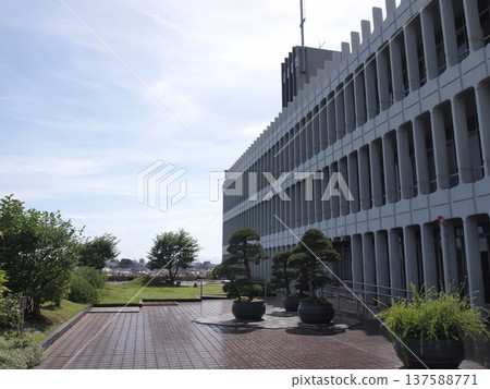 中目黑的都市綠洲：目黑區政府屋頂綠園 137588771