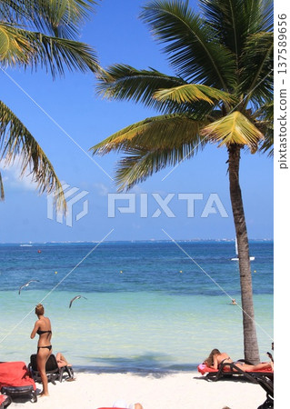 Tourists relax on sun loungers on tropical beach framed by tall palm trees, with turquoise ocean and clear blue sky. 137589656