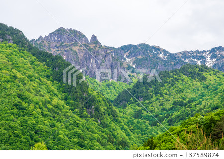 從中尾高原眺望赤城山,映襯著奧飛驒溫泉鄉的鬱鬱蔥蔥景色。 從中尾高原眺望赤城山,映襯著奧飛驒溫泉鄉的鬱鬱蔥蔥景色。 137589874