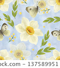 Seamless pattern. White daffodil flower, butterflies, green twigs, blue watercolor background. A spring print in a flat style. Watercolor, pastel. 137589951