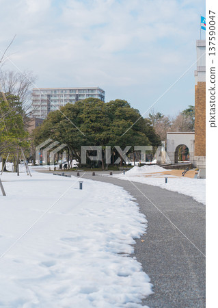 Ishikawa Prefectural Government Memorial Shiinoki Guest House and the snow-covered Shiinoki tree Ishikawa Prefectural Government Memorial Shiinoki Guest House and the snow-covered Shiinoki tree 137590047