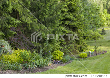 Beautiful garden landscape with lush greenery and diverse plant life during a sunny day in a peaceful setting 137590354