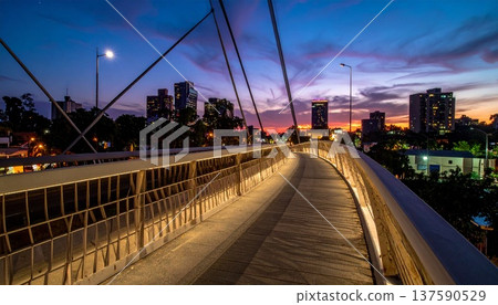 下班回家的路上，我突然停在一座人行天橋上，看到底下有車燈從我身邊駛過。 137590529