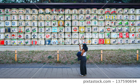 Tokyo, Japan - Oct 15 2024, panoramic view of many barrels of sake called kazaridaru decorated with various patterns and inscriptions with people on foreground, territory of Meiji Temple, Tokyo, Japan 137590694