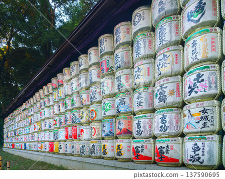 Tokyo, Japan - Oct 15 2024, panoramic view of the many barrels of sake called kazaridaru decorated with various patterns and inscriptions on the territory of the Meiji Temple, Tokyo, Japan Tokyo, Japan - Oct 15 2024, panoramic view of the many barrels of sake called kazaridaru decorated with various patterns and inscriptions on the territory of the Meiji Temple, Tokyo, Japan 137590695