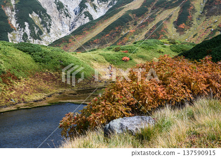 從立山綠池眺望初秋的山 從立山綠池眺望初秋的山 137590915