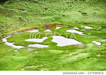Tateyama in summer "Blood Pond" 137590918