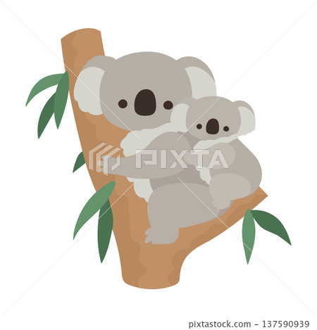 Flat illustration of a koala parent and child climbing a eucalyptus tree 137590939