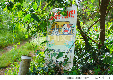 Sakata, Yamagata, Japan - Oct 5 2024, A close-up view of a poster hanging among the trees depicting a crying puppy and kitten and warning that abandoning animals is illegal, at daytime, Sakata, Japan  137591003