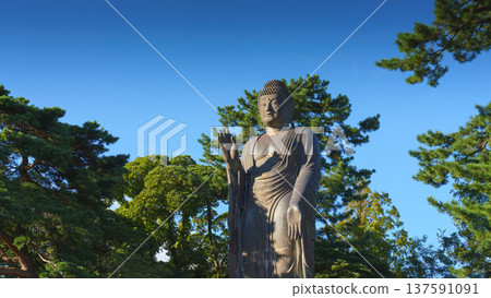 Sakata, Yamagata, japan - Oct 5 2024, A panoramic view of the giant Great Buddha statue at Jichi-In Temple, with trees in the background, at daytime, Sakata, Japan Sakata, Yamagata, japan - Oct 5 2024, A panoramic view of the giant Great Buddha statue at Jichi-In Temple, with trees in the background, at daytime, Sakata, Japan 137591091