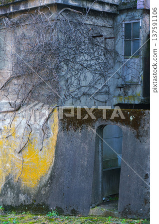 Sakata, Yamagata, japan - Oct 5 2024, vertical view of an ancient stone building with an arched passage, walls covered with branches of a creeping plant, moss and lichen, without people, Sakata, Japan Sakata, Yamagata, japan - Oct 5 2024, vertical view of an ancient stone building with an arched passage, walls covered with branches of a creeping plant, moss and lichen, without people, Sakata, Japan 137591106