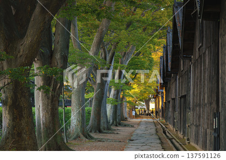Sakata, Yamagata, japan - Oct 5 2024, Panoramic view of Sankyo Soko Storehouse with an alley of trees nearby, at sunset, without people, Sakata, Japan Sakata, Yamagata, japan - Oct 5 2024, Panoramic view of Sankyo Soko Storehouse with an alley of trees nearby, at sunset, without people, Sakata, Japan 137591126