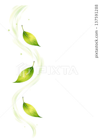 鮮嫩的綠葉流著水彩線條，構成自然植物裝飾圖案。 137591288