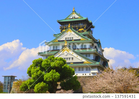 Osaka Castle castle tower in spring Osaka Castle castle tower in spring 137591431