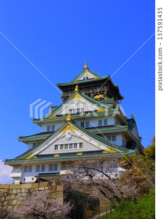 大阪城堡城堡塔在春天 大阪城堡城堡塔在春天 137591435