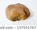 香菇 137591767