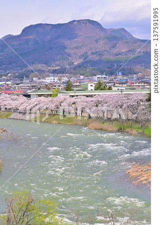 Tone River swollen with melting snow water, cherry blossom trees lined Mount Mitake, Numata City, Gunma Prefecture Tone River swollen with melting snow water, cherry blossom trees lined Mount Mitake, Numata City, Gunma Prefecture 137591995