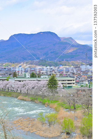 Tone River swollen with melting snow water, cherry blossom trees lined Mount Mitake, Numata City, Gunma Prefecture Tone River swollen with melting snow water, cherry blossom trees lined Mount Mitake, Numata City, Gunma Prefecture 137592003