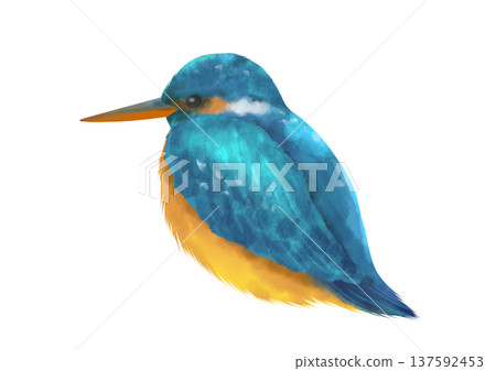 水彩畫中的藍鳥,翠鳥 水彩畫中的藍鳥,翠鳥 137592453