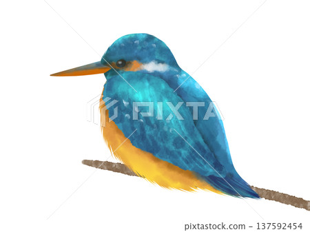 Watercolor illustration of a kingfisher perched on a branch 137592454