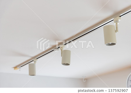 客廳和餐廳的管道照明和聚光燈 137592907