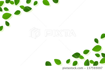 簡單的葉子透明邊框 1_水平 簡單的葉子透明邊框 1_水平 137593097