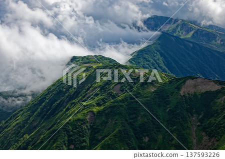 從北阿爾卑斯山脈的茂澤山眺望雲霧繚繞的弓折山山脊 從北阿爾卑斯山脈的茂澤山眺望雲霧繚繞的弓折山山脊 137593226
