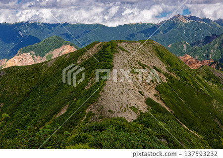 從北阿爾卑斯山脈的紅澤山眺望前紅澤山、椿黑山和大天上山 137593232
