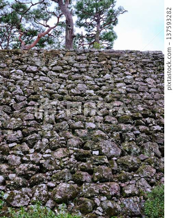 Castle's stone wall Castle's stone wall 137593282