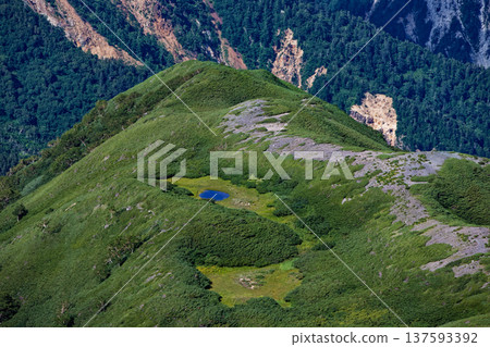 A mountain pond seen from Mt. Mozawa in the Northern Alps A mountain pond seen from Mt. Mozawa in the Northern Alps 137593392
