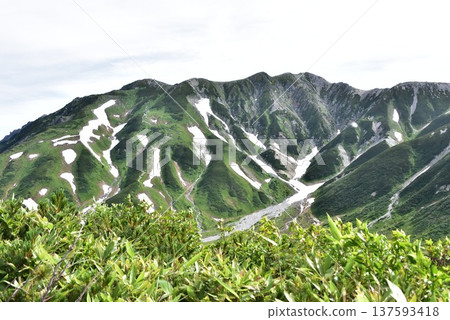 夏日的立山,俯瞰別山 夏日的立山,俯瞰別山 137593418