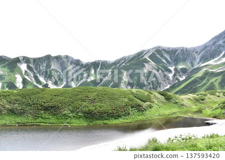立山之夏,從綠池遠眺別山 立山之夏,從綠池遠眺別山 137593420