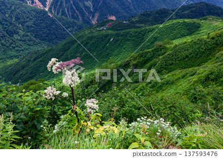 Northern Alps, Yumori-dake ridgeline, and Kagami-daira Northern Alps, Yumori-dake ridgeline, and Kagami-daira 137593476