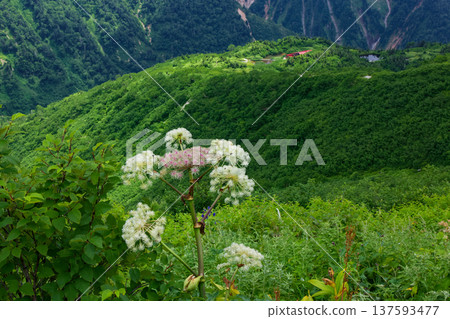 北阿爾卑斯山、湯守嶽山脊線和鏡平 137593477