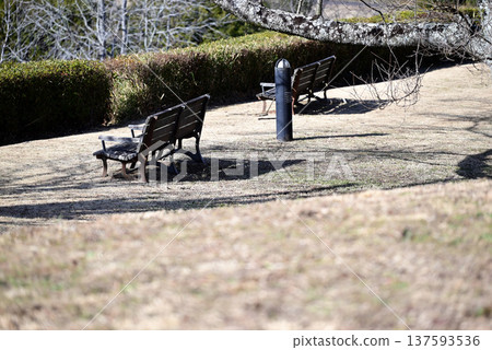 冬季公園長椅 137593536