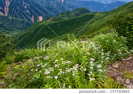北阿爾卑斯山、湯守嶽山脊線和鏡平 北阿爾卑斯山、湯守嶽山脊線和鏡平 137593665
