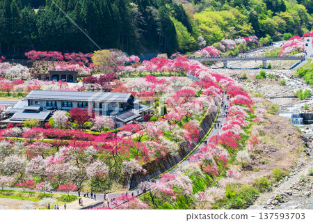 Achi Village, Hanamomo Village 137593703