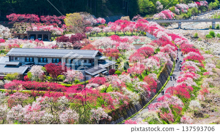 Achi Village, Hanamomo Village 137593706