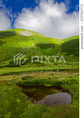 A pond near Sugoroku hut in the Northern Alps and Mount Sugoroku with clouds rising 137593771