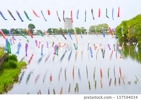 五彩斑斕的鯉魚彩帶倒映在水面上。 五彩斑斕的鯉魚彩帶倒映在水面上。 137594034