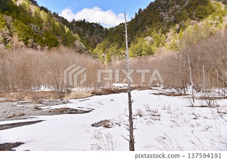 冬日里,流入大瀧樹湖的河岸景色 冬日里,流入大瀧樹湖的河岸景色 137594191